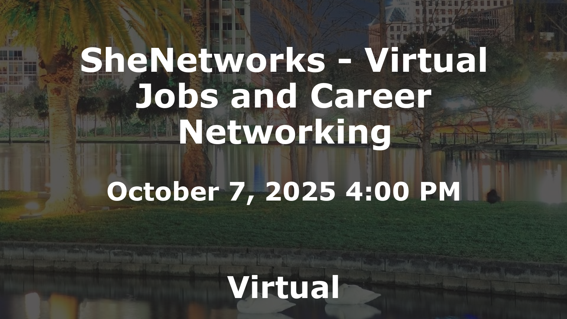 SheNetworks - Virtual Jobs and Career Networking event image